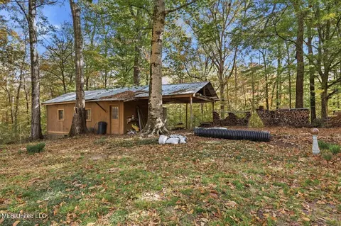 3746 Morrison Rd, Utica, MS 39175 photo 42