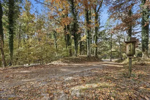 3746 Morrison Rd, Utica, MS 39175 photo 41