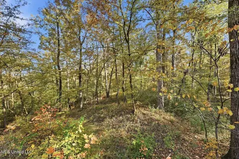 3746 Morrison Rd, Utica, MS 39175 photo 40