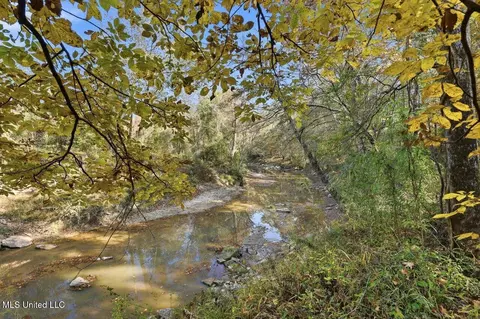 3746 Morrison Rd, Utica, MS 39175 photo 8