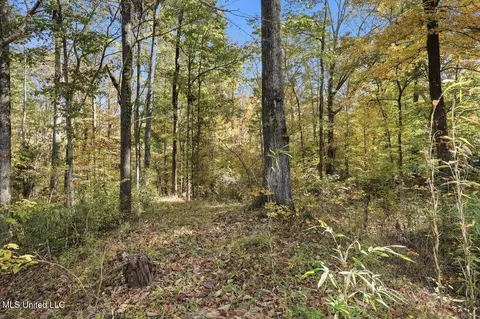 3746 Morrison Rd, Utica, MS 39175 photo 34