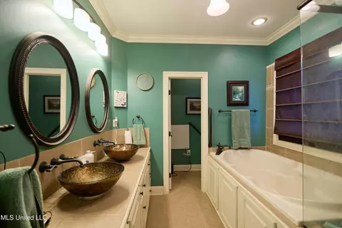 Bath - 114 Sky Meadow Rd, Flora, MS 39071 photo 1 of 3