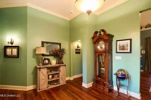Entry Way - 114 Sky Meadow Rd, Flora, MS 39071 photo 4 of 4