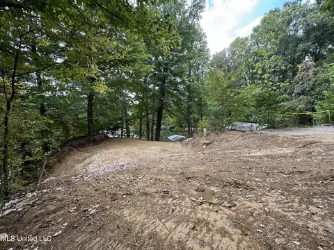 3090 Hickory Dr, Hernando, MS 38632 photo 2