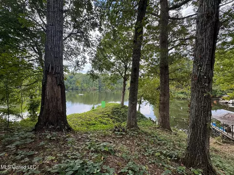 3090 Hickory Dr, Hernando, MS 38632 photo 9