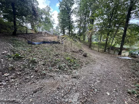 3090 Hickory Dr, Hernando, MS 38632 photo 7
