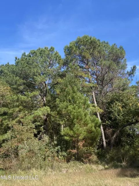 Pecan Grove Drive, Kiln, MS 39556
