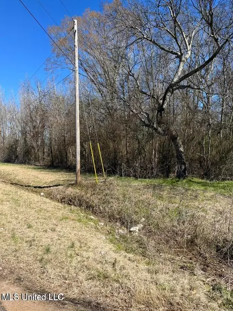 Cobbville Road, Canton, MS 39046 photo 3
