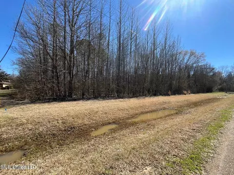 Cobbville Road, Canton, MS 39046 photo 5