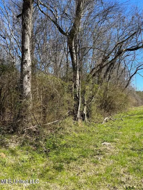 Cobbville Road, Canton, MS 39046 photo 9