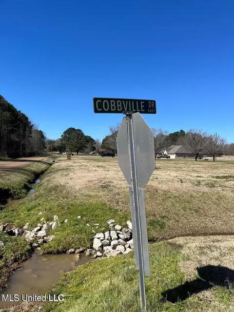Cobbville Road, Canton, MS 39046 photo 2