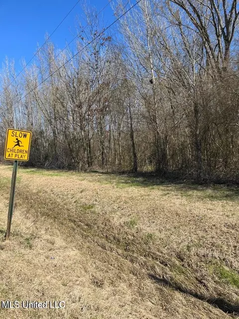 Cobbville Road, Canton, MS 39046 photo 7