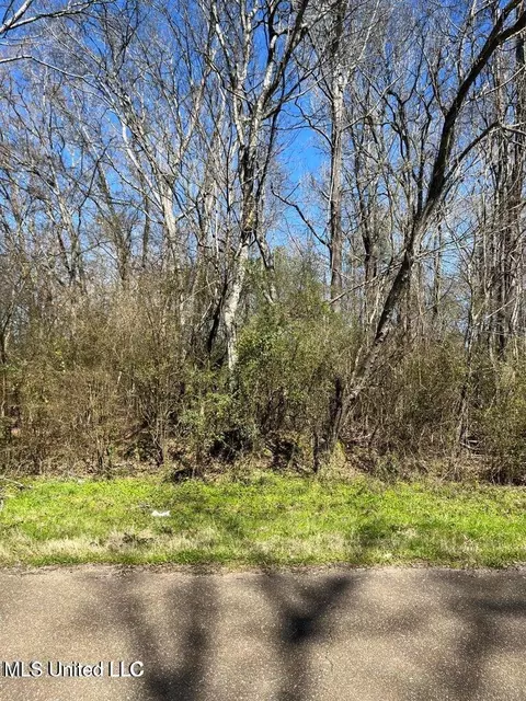 Cobbville Road, Canton, MS 39046 photo 8