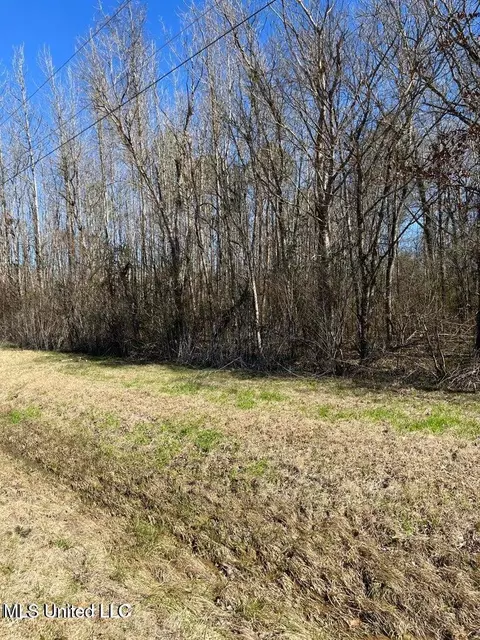 Cobbville Road, Canton, MS 39046 photo 6