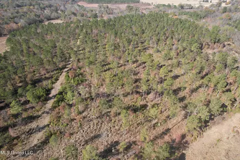 Off Cr 115, Carrollton, MS 38917 photo 17