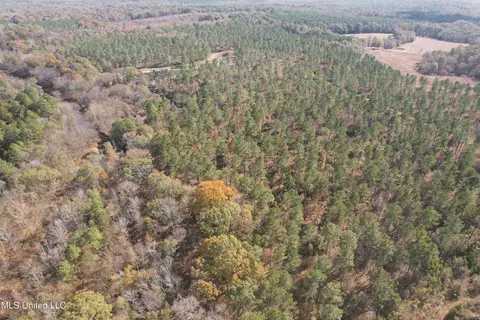 Off Cr 115, Carrollton, MS 38917 photo 16