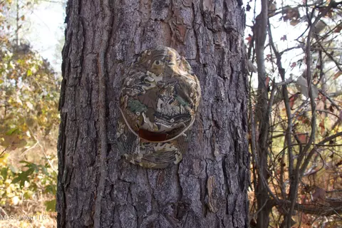 Off Cr 115, Carrollton, MS 38917 photo 4