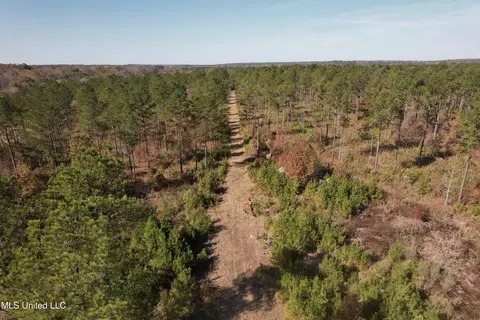 Off Cr 115, Carrollton, MS 38917 photo 18