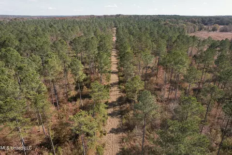 Off Cr 115, Carrollton, MS 38917 photo 9