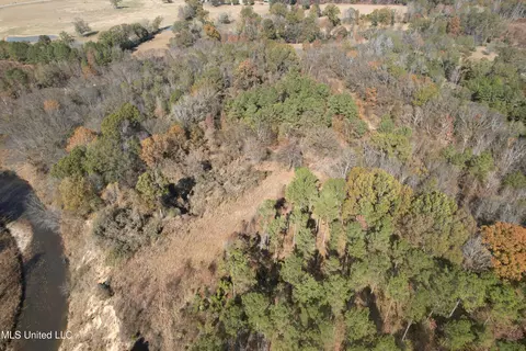 Off Cr 115, Carrollton, MS 38917 photo 10