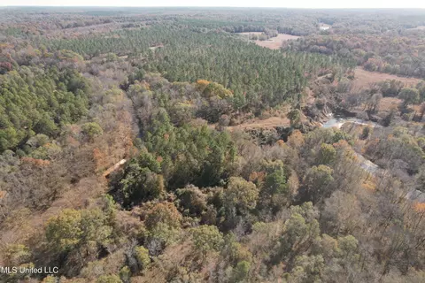 Off Cr 115, Carrollton, MS 38917 photo 15
