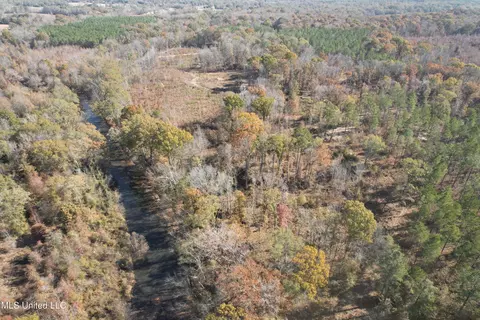 Off Cr 115, Carrollton, MS 38917 photo 20