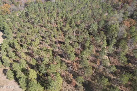 Off Cr 115, Carrollton, MS 38917 photo 12