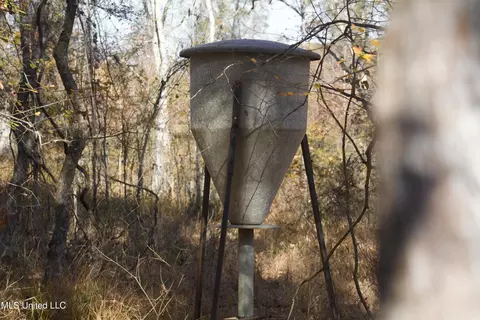 Off Cr 115, Carrollton, MS 38917 photo 3
