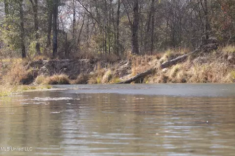 Off Cr 115, Carrollton, MS 38917 photo 6