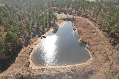 Off Cr 115, Carrollton, MS 38917 photo 14