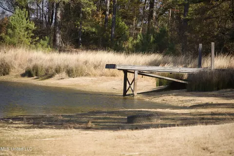 Off Cr 115, Carrollton, MS 38917 photo 7