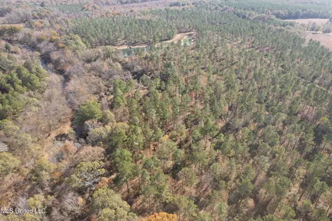 Off Cr 115, Carrollton, MS 38917 photo 19