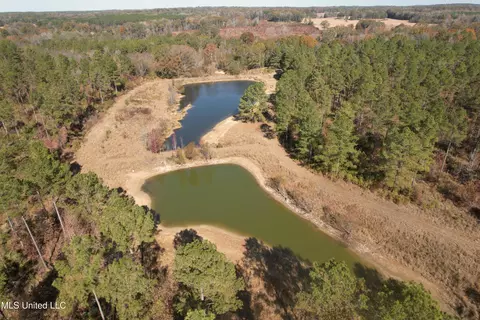 Off Cr 115, Carrollton, MS 38917 photo 13