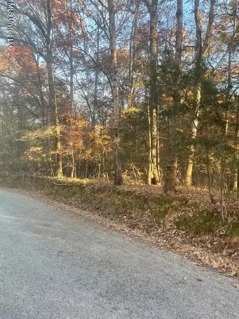 Dogwood Ranch Cir, Byhalia, MS 38611