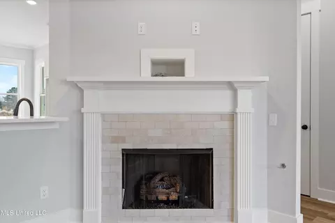 Other - 3505 Kreunen St, Nesbit, MS 38651 photo 4 of 11