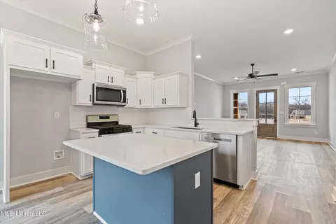 Other - 3505 Kreunen St, Nesbit, MS 38651 photo 1 of 11