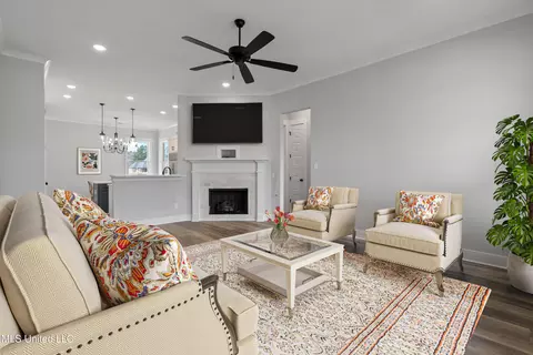 Other - 3505 Kreunen St, Nesbit, MS 38651 photo 3 of 11