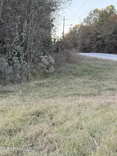 W County Line Road, Jackson, MS 39213 photo 3
