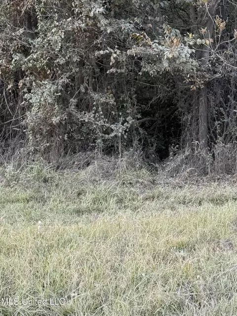 W County Line Road, Jackson, MS 39213 photo 4