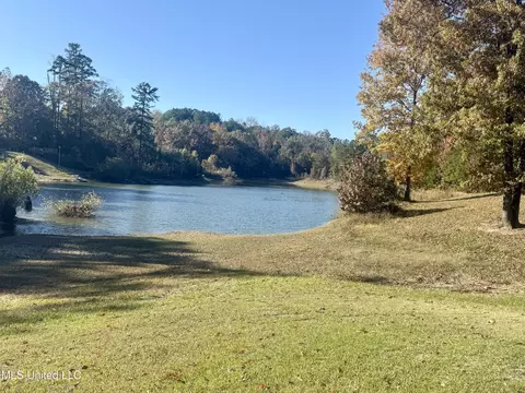 View/Area - 300 Deer Hollow Rd, Grenada, MS 38901 photo 1 of 2