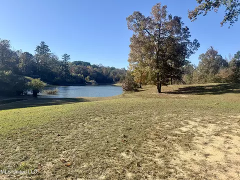 View/Area - 300 Deer Hollow Rd, Grenada, MS 38901 photo 2 of 2