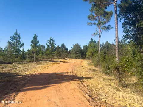 76 Ccc Rd, Perkinston, MS 39573 photo 8