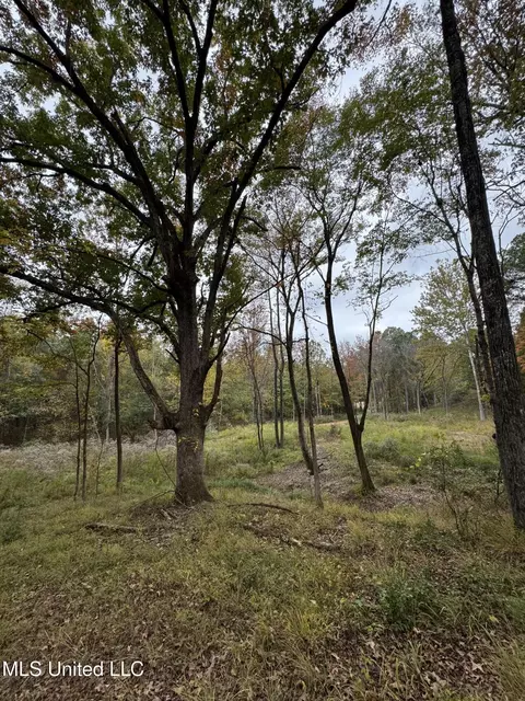 4322 Mcingvale Rd, Hernando, MS 38632 photo 13
