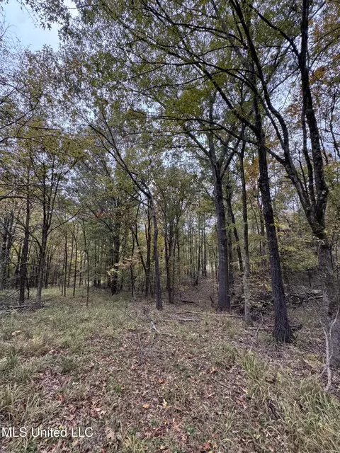 4322 Mcingvale Rd, Hernando, MS 38632 photo 12