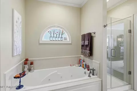 Bath - 514 Beacon Cv, Brandon, MS 39047 photo 3 of 5