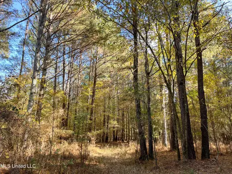 80 8 Acres, Carthage, MS 39051 photo 45