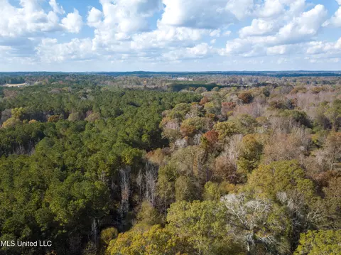 80 8 Acres, Carthage, MS 39051 photo 24