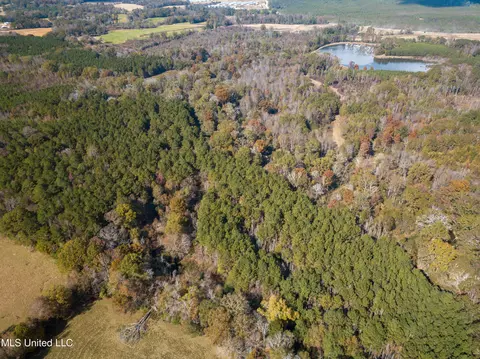 80 8 Acres, Carthage, MS 39051 photo 20
