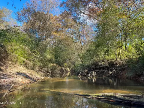 80 8 Acres, Carthage, MS 39051 photo 43