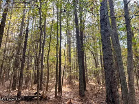 80 8 Acres, Carthage, MS 39051 photo 60